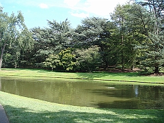 022 Longwood Gardens [2008 August 23]